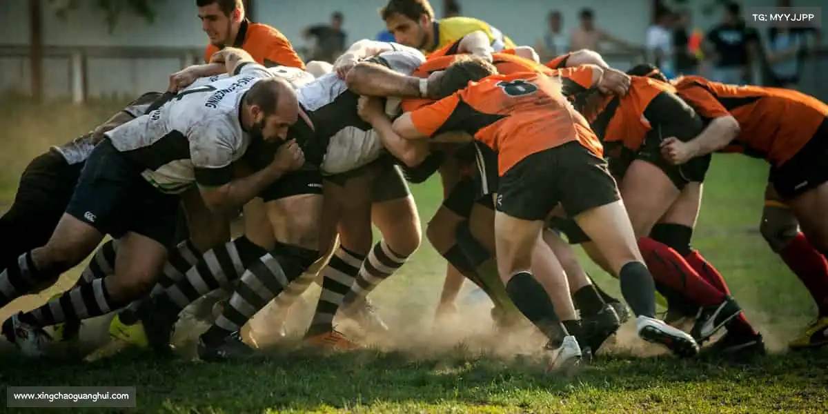 为什么选择我们